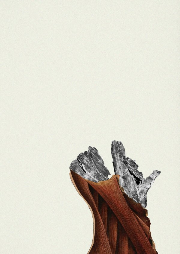 Abstract collage consisting of parts from old anatomical illustrations and a recent foto