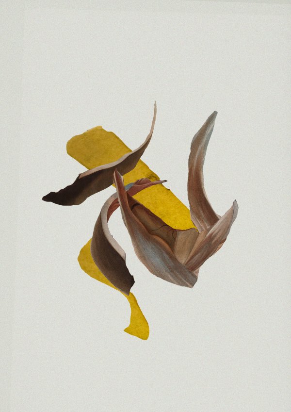 Abstract collage consisting of parts from old anatomical illustrations and a foto from a yellow leaf