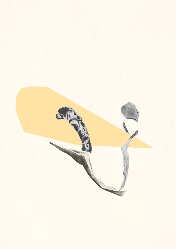 Abstract collage consisting of parts from old anatomical illustrations and color patches